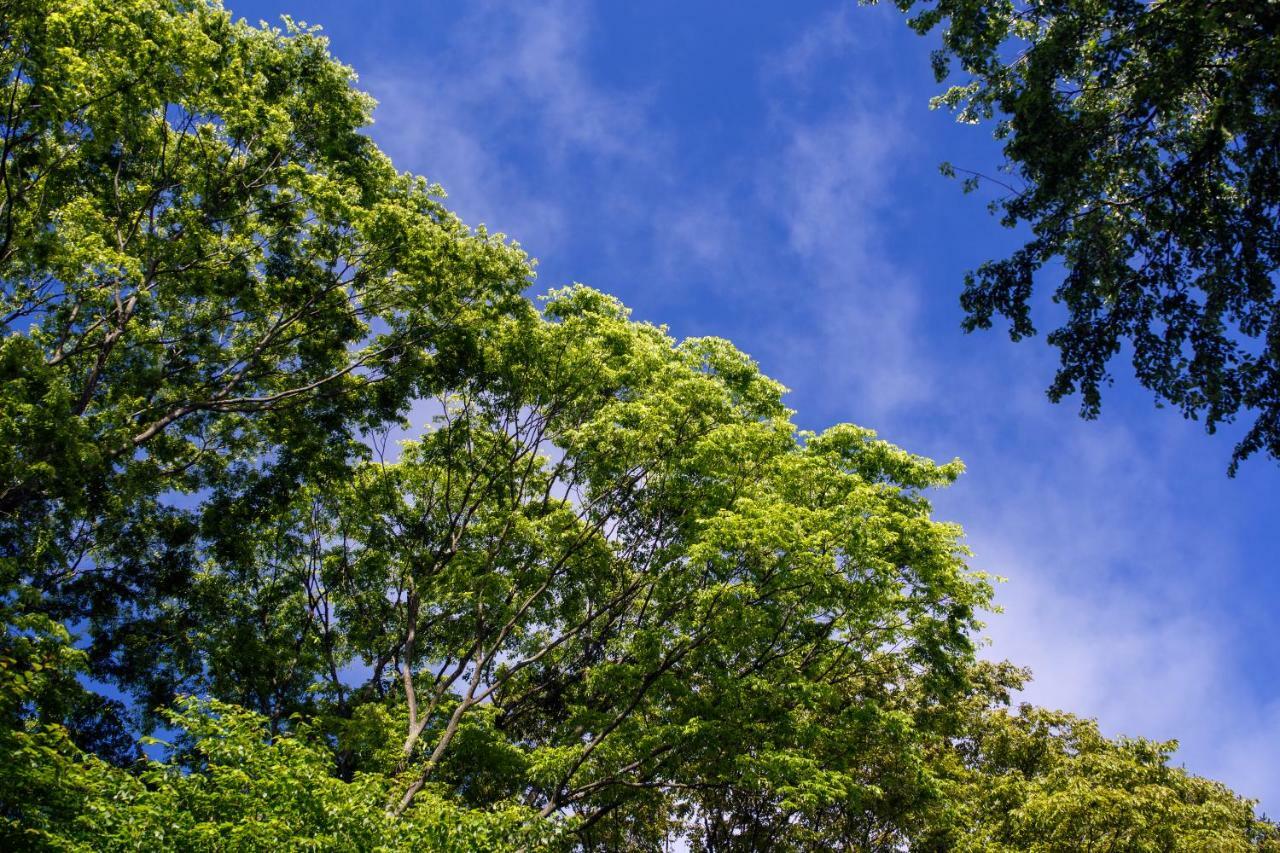 Hauska Karuizawa Hotel Saku Luaran gambar